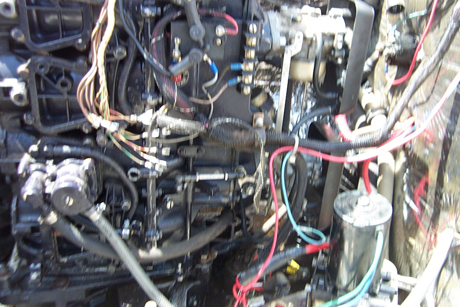 DCP_1583 (1).jpeg